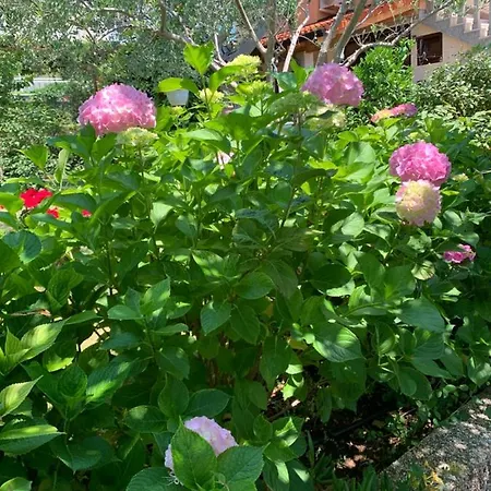 Guest house Centre *