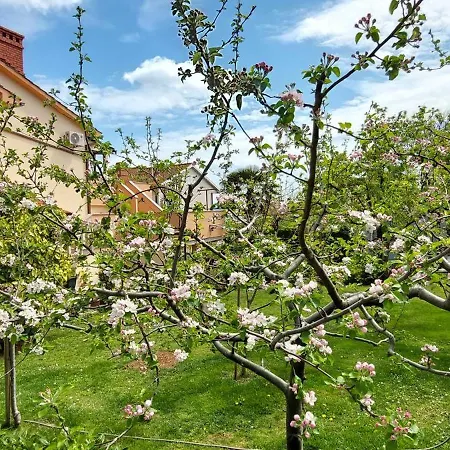 Centre *