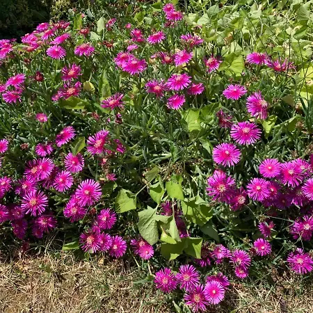 Maison d'hôtes Centre Krk Town