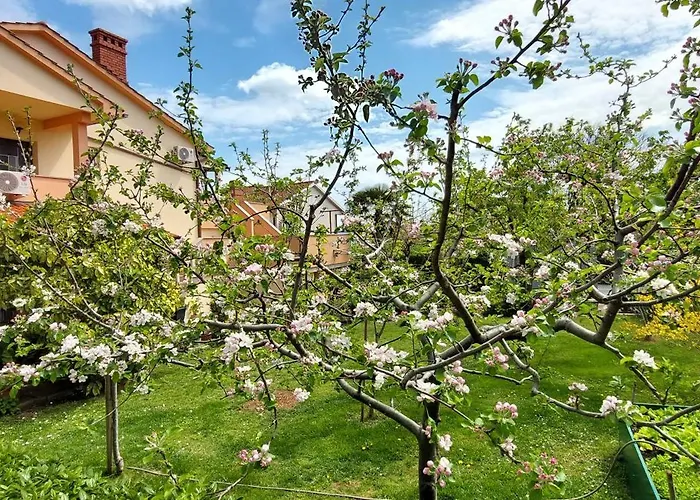 Centre 3*